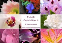 Flower 1